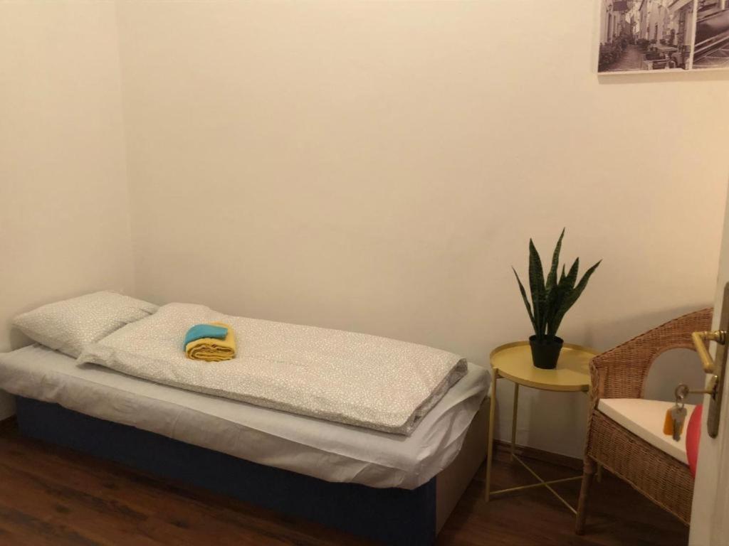 Apatrhostel Brno Dış mekan fotoğraf