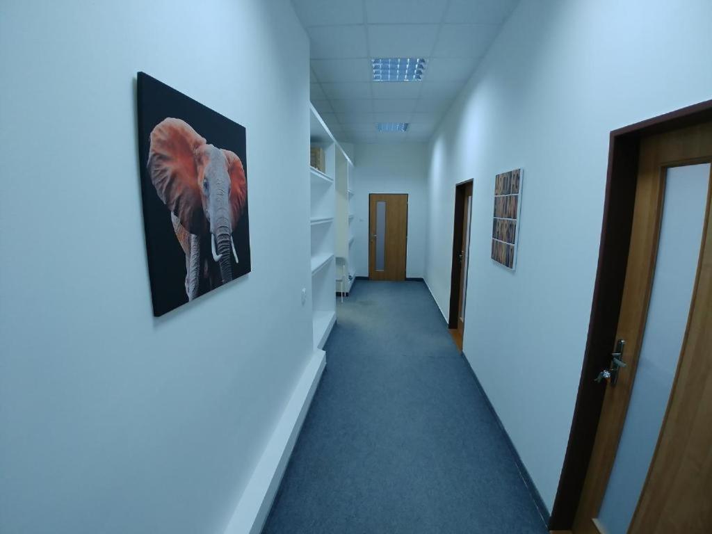 Apatrhostel Brno Dış mekan fotoğraf